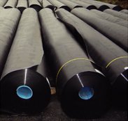    LDPE